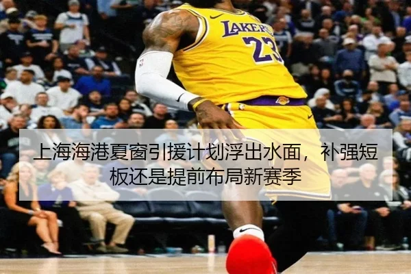 上海海港夏窗引援计划浮出水面，补强短板还是提前布局新赛季 - maiqiuwang
